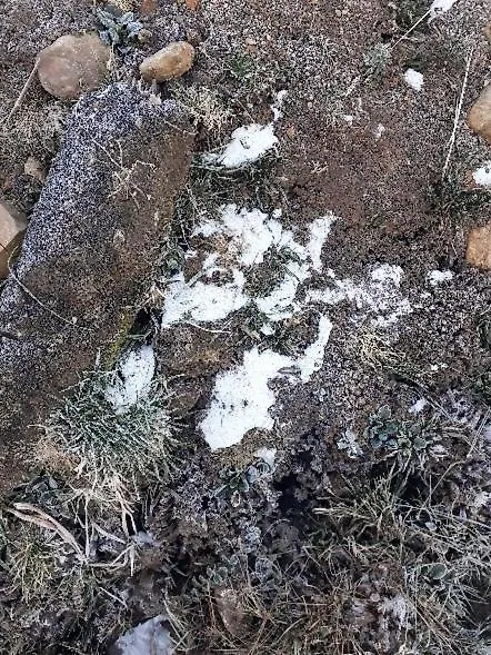 Pousada Chales Aconchego Serrano Bom Jardim da Serra Inn
