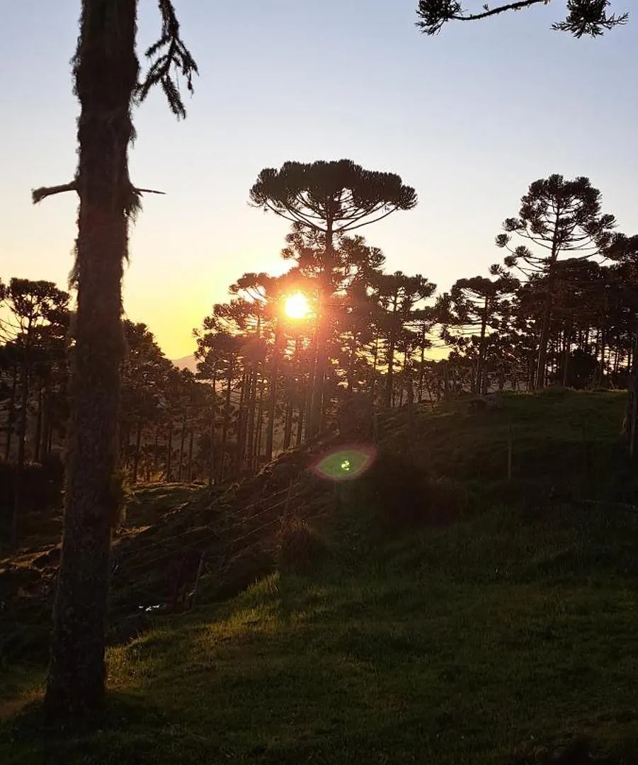 Inn Pousada Chales Aconchego Serrano Bom Jardim da Serra Brasil