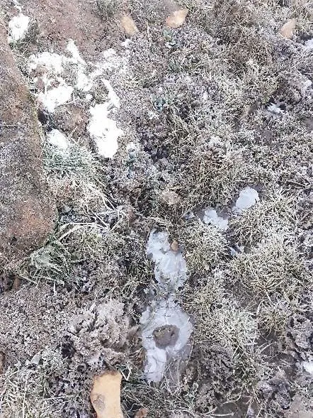 Pousada Chales Aconchego Serrano Bom Jardim da Serra Värdshus