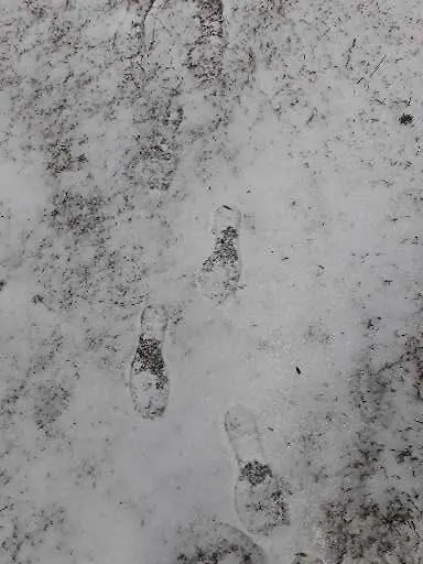 Värdshus Pousada Chales Aconchego Serrano Bom Jardim da Serra
